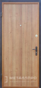 Фото №2 «Металлическая дверь с порошковым напылением №60»