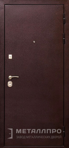 Дверь металлическая «Порошок №66» с внешней стороны Порошковое напыление