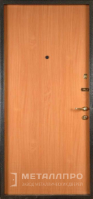Фото №2 «Металлическая дверь с порошковым напылением №62»