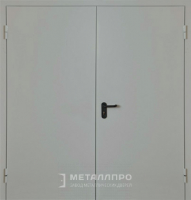 Дверь металлическая «Противопожарная №5» с внешней стороны Нитроэмаль