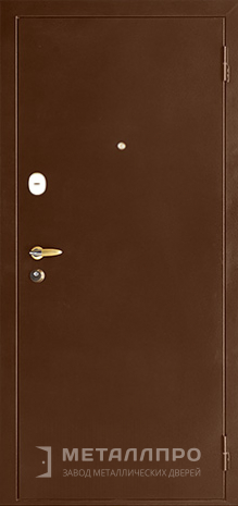 Фото внешней стороны двери «Порошок №8» c отделкой Порошковое напыление