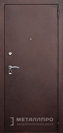 Фото внешней стороны двери «Порошок №6» c отделкой Порошковое напыление