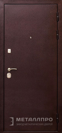 Фото внешней стороны двери «Порошок №66» c отделкой Порошковое напыление