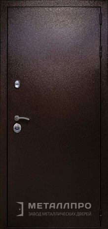 Фото внешней стороны двери «Порошок №47» c отделкой Порошковое напыление