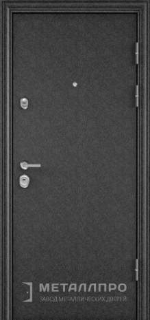 Фото внешней стороны двери «С зеркалом №68» c отделкой Порошковое напыление